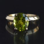 18-karaat-gouden-stapelbare-2lips-peridot-ring-dutch-design-david-aardewerk