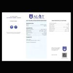 18-karaat-wit-goud-ronde-halo-candy-cluster-steker-oorbellen-natuurlijke-saffieren-kimberly-gecertificeerde-natuurlijke-diamant