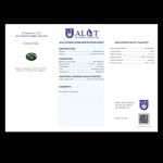 ovale-groene-algtantwerpen-gecertificeerde-groene-tsavoriet-entourage-ring-geel-goud-ronde-conflictvrije-diamanten-cluster-verlo