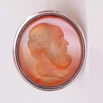 intaglio-gesneden-carniool