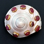 schelpbroche-grima