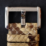 cartier-divan-automatic
